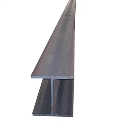 301 Stainless Azzar Raġġ I