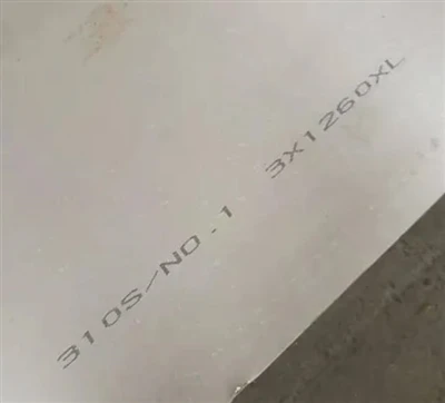 310/310S Stainless Steel Nru.1 Plate